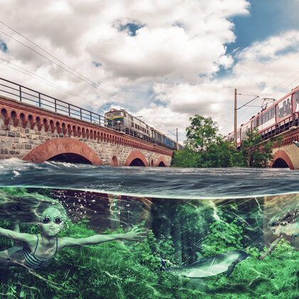 JAK NIE CEGŁĄ TO ŻONĄ...